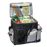 Koolatron D25 Soft Bag Electric Cooler